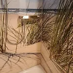 Haus Nadine Apartamento Zingst