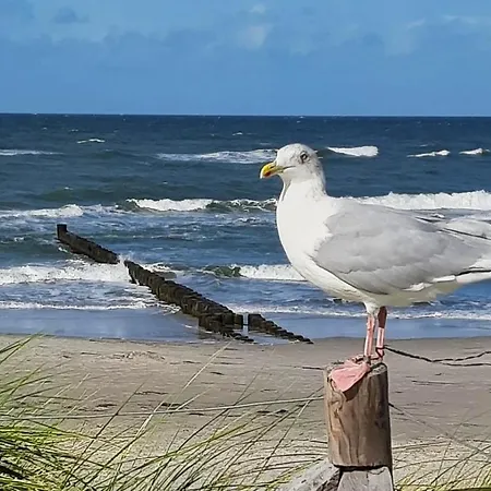 Haus Nadine Apartment Ostseeheilbad Zingst