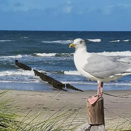 Haus Nadine Lejlighed Zingst